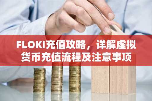 FLOKI充值攻略，详解虚拟货币充值流程及注意事项