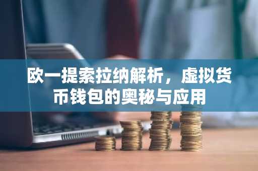 欧一提索拉纳解析,虚拟货币钱包的奥秘与应用