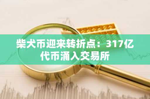 柴犬币迎来转折点：317亿代币涌入交易所