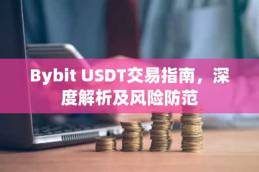Bybit USDT交易指南，深度解析及风险防范