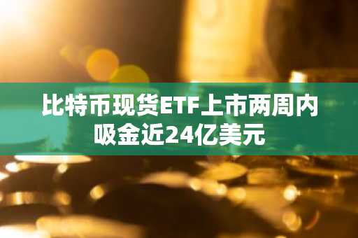比特币现货ETF上市两周内吸金近24亿美元