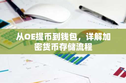 从OE提币到钱包，详解加密货币存储流程