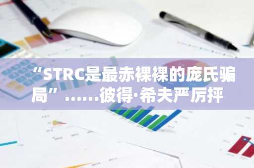 “STRC是最赤裸裸的庞氏骗局”……彼得·希夫严厉抨击塞勒