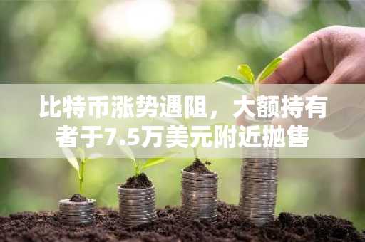 比特币涨势遇阻,大额持有者于7.5万美元附近抛售