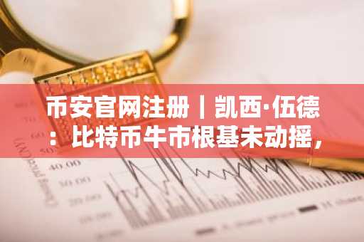 币安官网注册|凯西·伍德:比特币牛市根基未动摇,数字资产正处筑底阶段