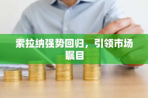 索拉纳强势回归，引领市场瞩目