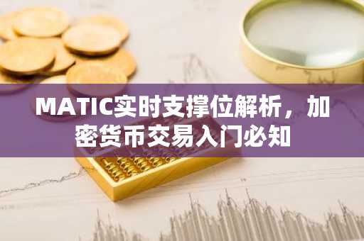 MATIC实时支撑位解析，加密货币交易入门必知