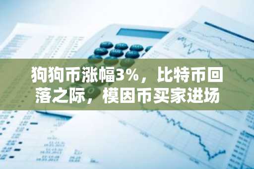 狗狗币涨幅3%，比特币回落之际，模因币买家进场