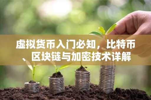 虚拟货币入门必知，比特币、区块链与加密技术详解
