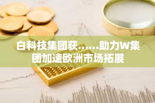白科技集团获……助力W集团加速欧洲市场拓展