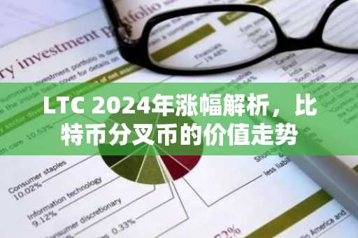 LTC 2024年涨幅解析，比特币分叉币的价值走势
