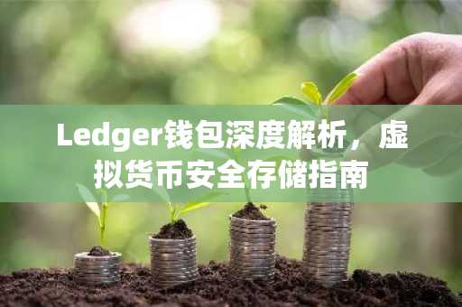 Ledger钱包深度解析，虚拟货币安全存储指南