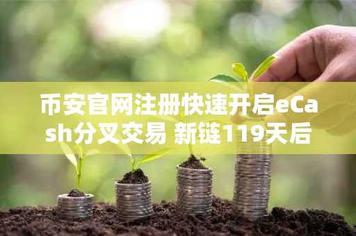 币安官网注册快速开启eCash分叉交易 新链119天后上线