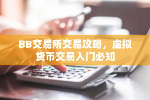 BB交易所交易攻略,虚拟货币交易入门必知