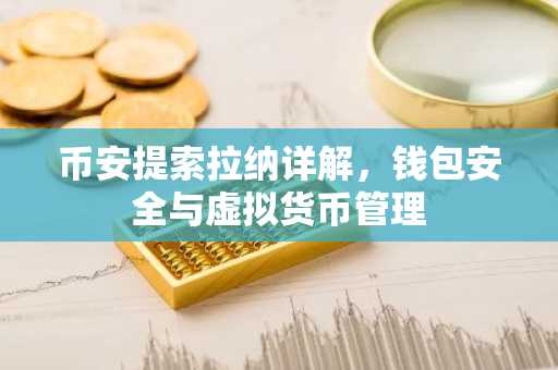 币安提索拉纳详解，钱包安全与虚拟货币管理