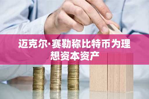 迈克尔·赛勒称比特币为理想资本资产