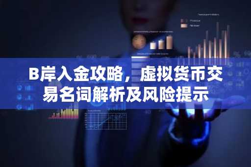 B岸入金攻略，虚拟货币交易名词解析及风险提示