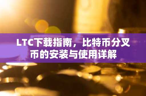 LTC下载指南，比特币分叉币的安装与使用详解