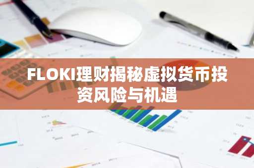 FLOKI理财揭秘虚拟货币投资风险与机遇