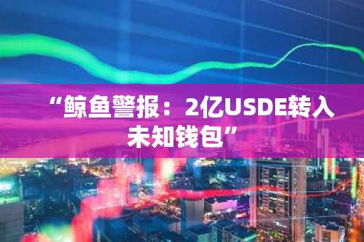 “鲸鱼警报：2亿USDE转入未知钱包”