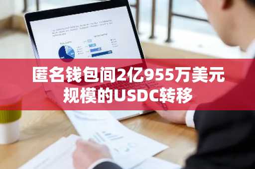匿名钱包间2亿955万美元规模的USDC转移