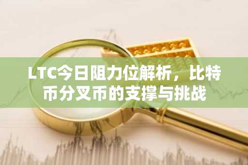 LTC今日阻力位解析，比特币分叉币的支撑与挑战