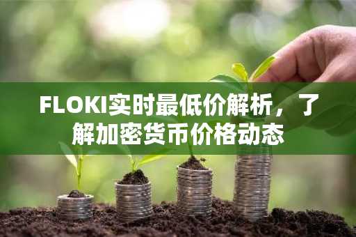 FLOKI实时最低价解析，了解加密货币价格动态