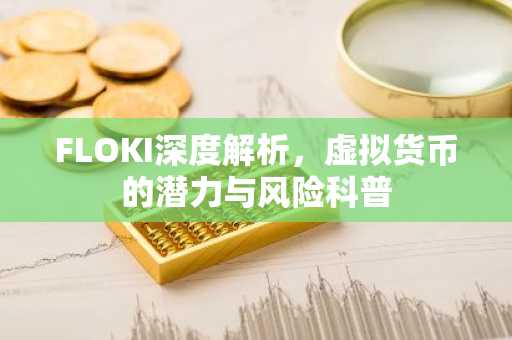 FLOKI深度解析，虚拟货币的潜力与风险科普
