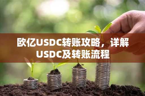 欧亿USDC转账攻略，详解USDC及转账流程