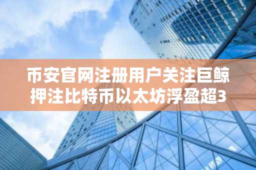 币安官网注册用户关注巨鲸押注比特币以太坊浮盈超3600万