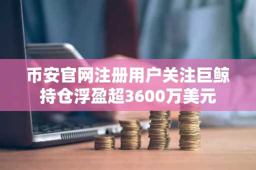 币安官网注册用户关注巨鲸持仓浮盈超3600万美元