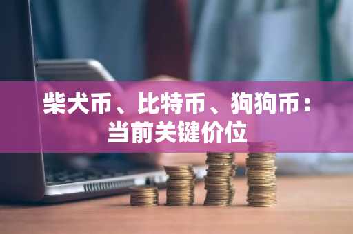 柴犬币、比特币、狗狗币:当前关键价位