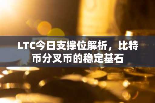 LTC今日支撑位解析，比特币分叉币的稳定基石