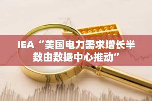 IEA“美国电力需求增长半数由数据中心推动”