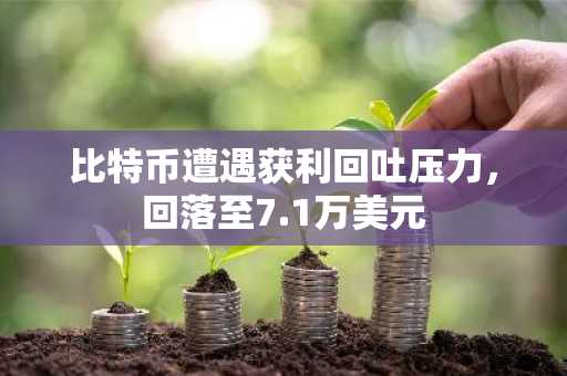 比特币遭遇获利回吐压力，回落至7.1万美元