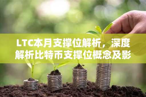 LTC本月支撑位解析，深度解析比特币支撑位概念及影响因素